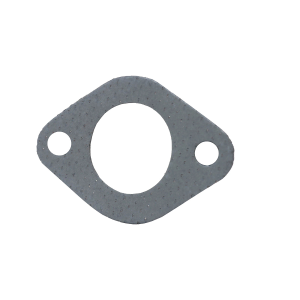 T20006: Gasket