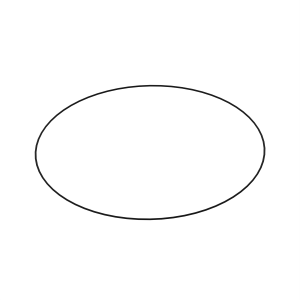 O-Ring