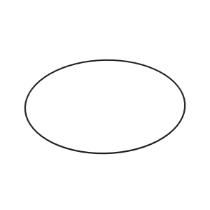 O-Ring