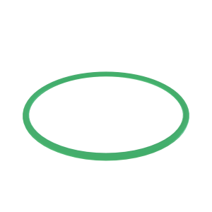 Image of R54873