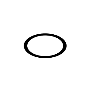 N307968: O-Ring