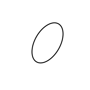 O-Ring