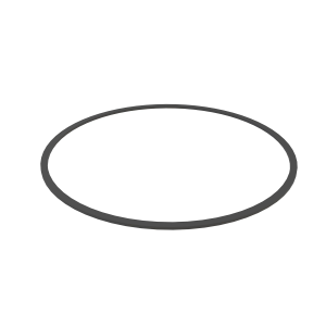 Back-Up Ring