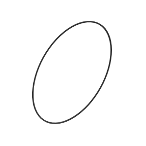 Back-Up Ring