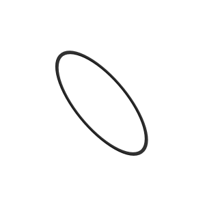 Back-Up Ring