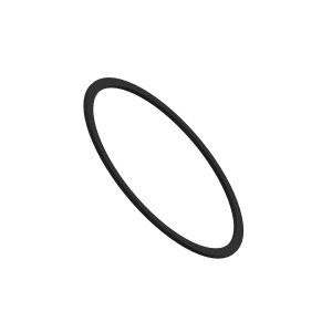 Back-Up Ring