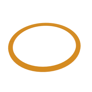 Back-Up Ring
