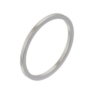 Back-Up Ring