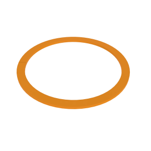 Back-Up Ring