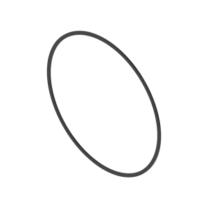 Back-Up Ring