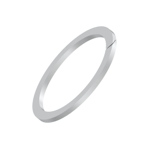Back-Up Ring