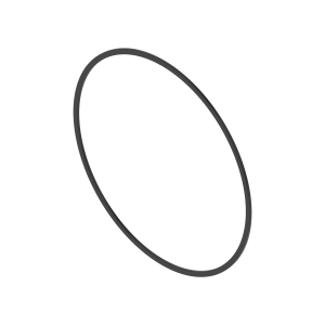 Back-Up Ring