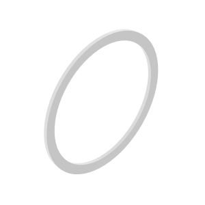 Back-Up Ring
