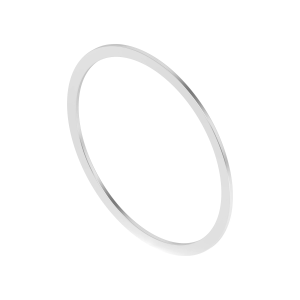Back-Up Ring