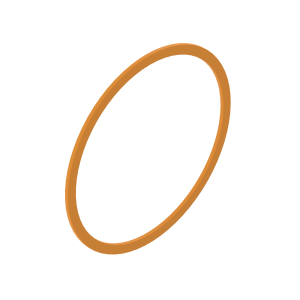 Back-Up Ring