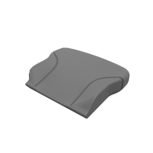 Cushion