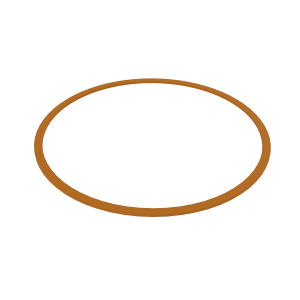 Back-Up Ring