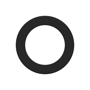 Back-Up Ring