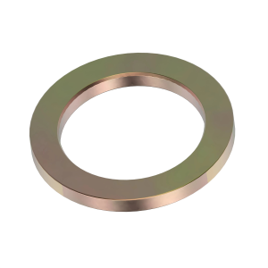 Disk