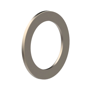 Disk