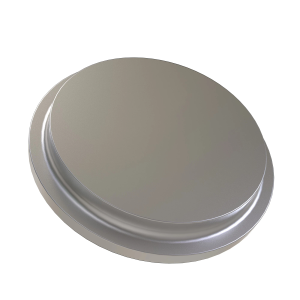 Disk