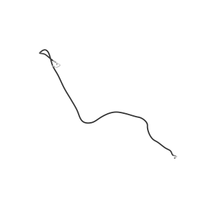 Hose