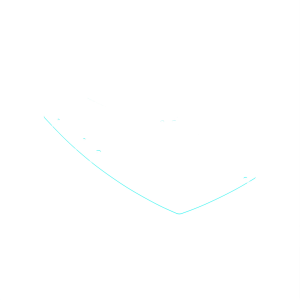 Windshield