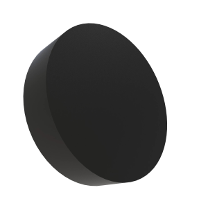 Disk