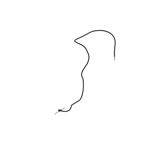 Refrigerant Hose