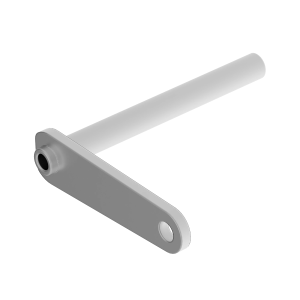 Arm