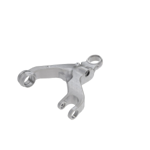 Arm