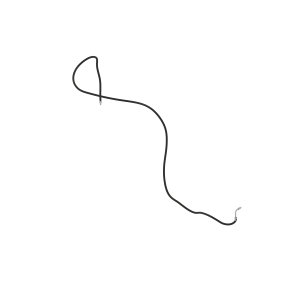 Refrigerant Hose