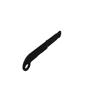 Arm
