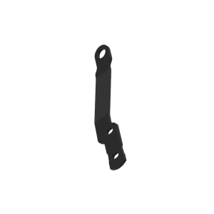 Arm