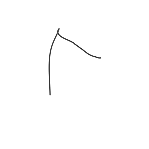 Image of SJ21682