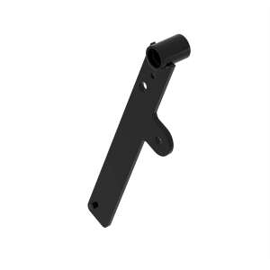 Arm