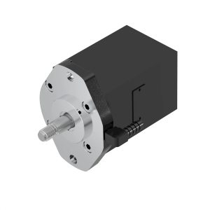 Hydraulic Motor
