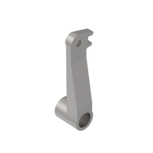Arm