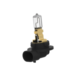 Bulb