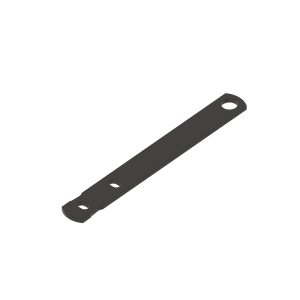 Arm