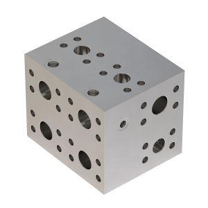 Manifold