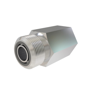 Check Valve