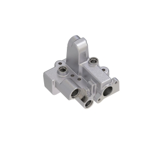 Manifold