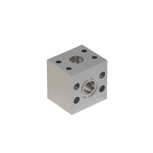 Manifold