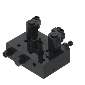 Manifold