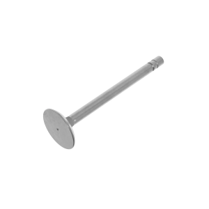 Intake Valve