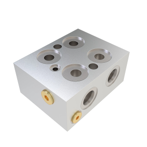 Manifold
