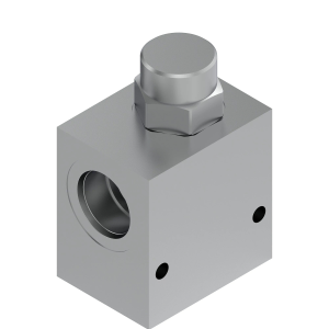 Check Valve
