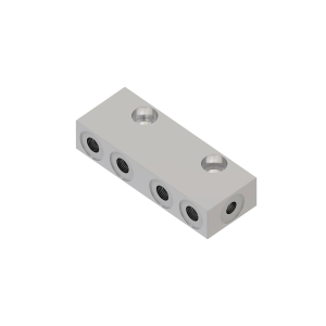 Manifold