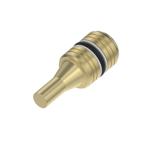 Check Valve